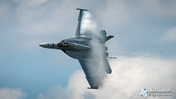 US Navy F/A-18F Super Hornet - AirshowStuff